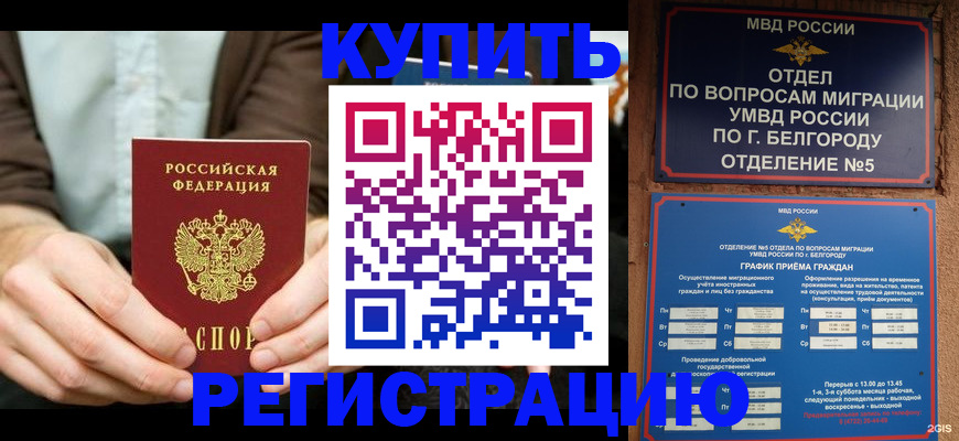 прописка 2025 в Пестово